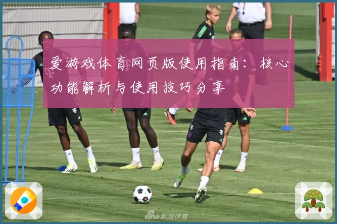 爱游戏体育网页版使用指南：核心功能解析与使用技巧分享