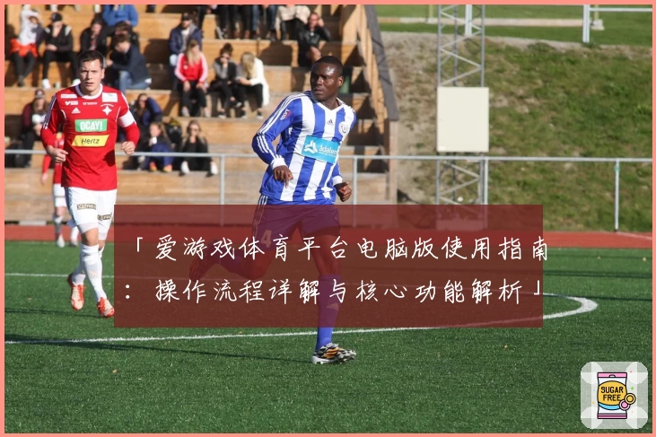 「爱游戏体育平台电脑版使用指南：操作流程详解与核心功能解析」